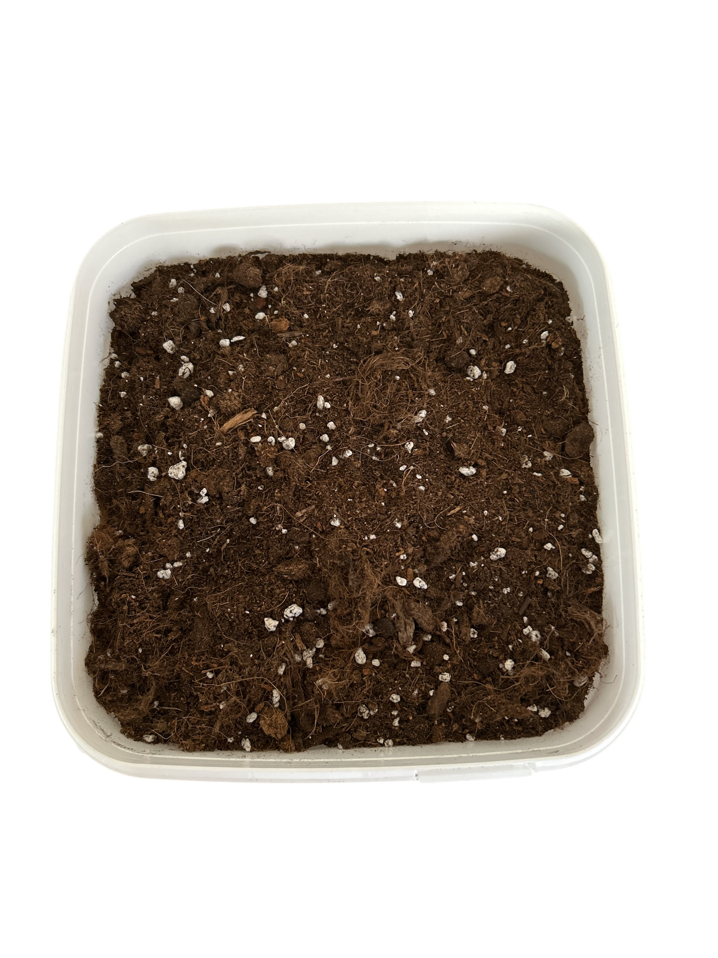 Caimer® – Ready-to-Grow Eimer (10,7 L)