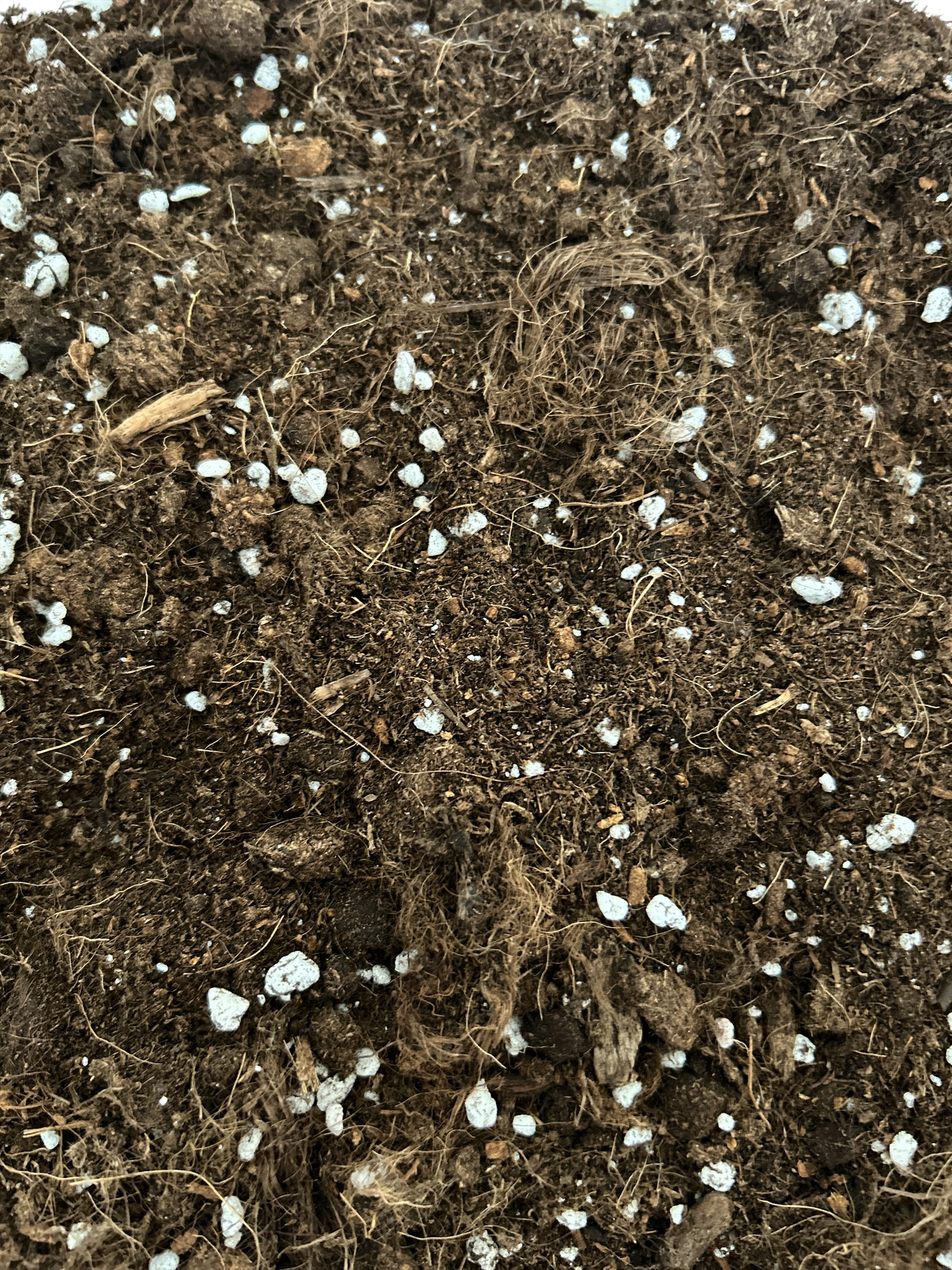 Caimer® – Ready-to-Grow Eimer (10,7 L)